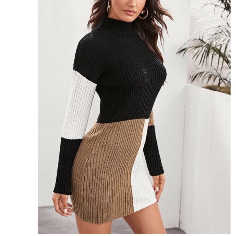 Colorblock Ribbed Sweater Mini Dress - Picture 5 of 6